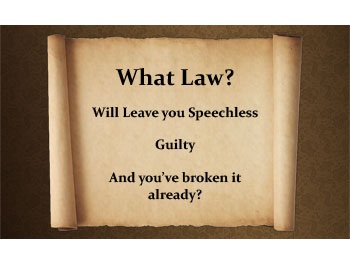 What Law Gospel Tract (pack of 100)