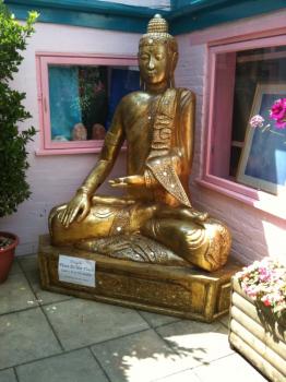 Idol worship!