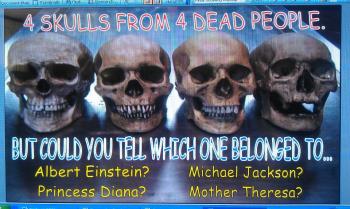 4 skulls